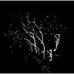 test-2