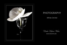 photographs - black & white