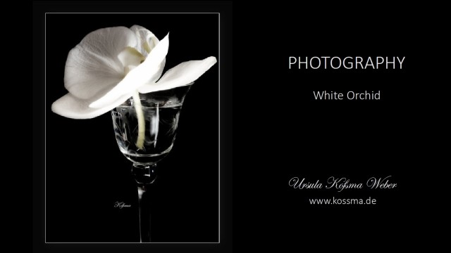 photographs - black & white