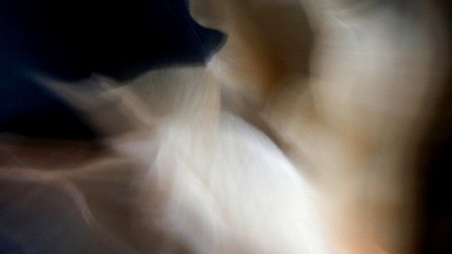 photographs - abstract