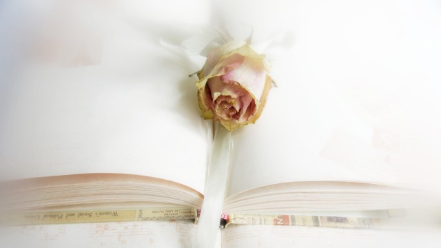 photographs - sentimental, nostalgic ...