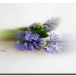 springtime