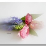springtime