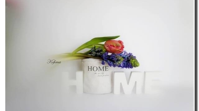 photographs  - it's springtime